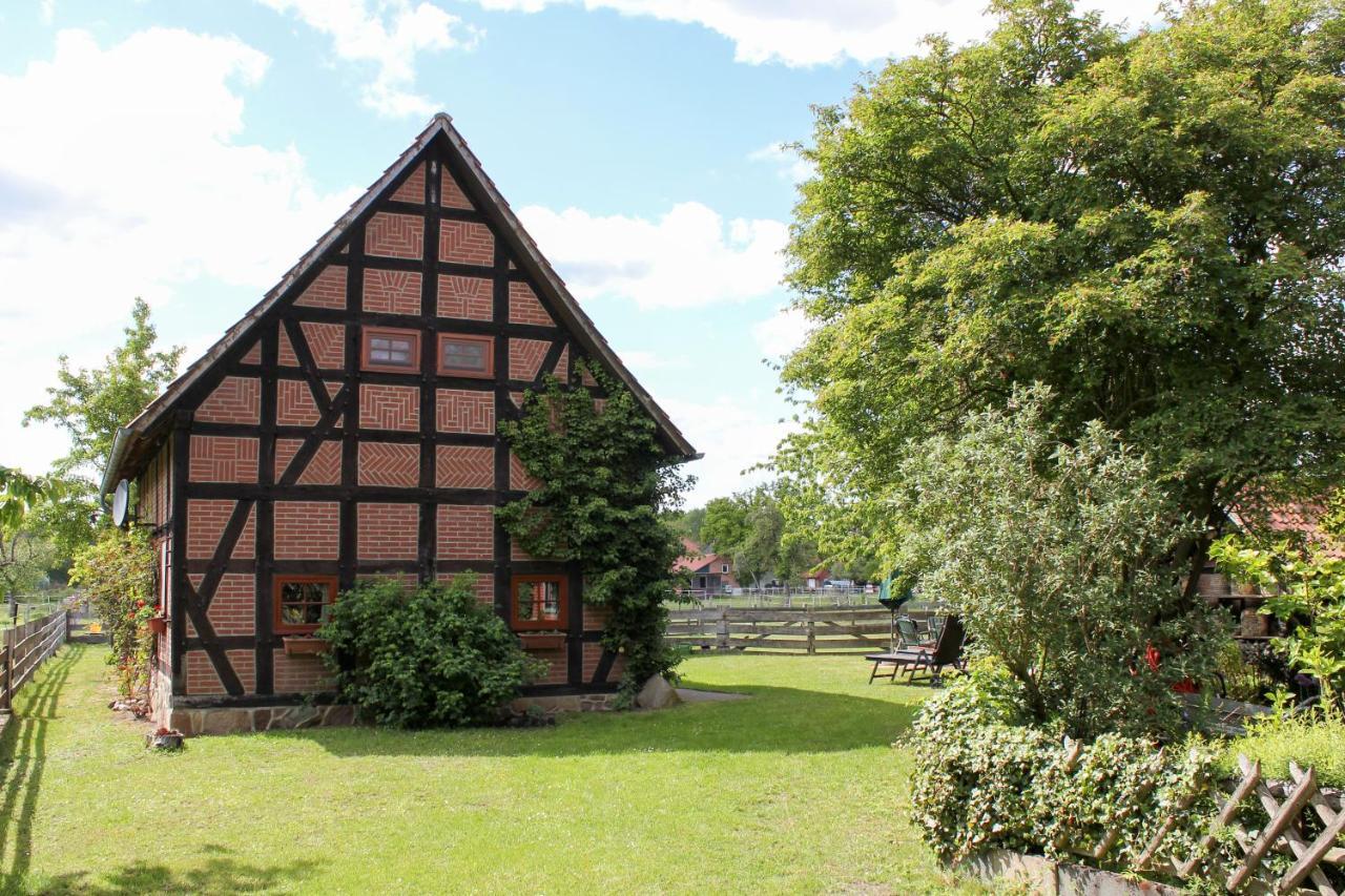 Ferienhaus Siemer Gilten ภายนอก รูปภาพ
